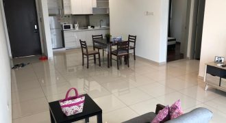 Pj midtown  fully furnished rent