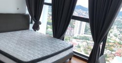 Pj midtown  fully furnished rent