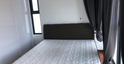 Pj midtown  fully furnished rent